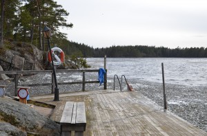 Kulturbevararen tar ett dopp efter bastun