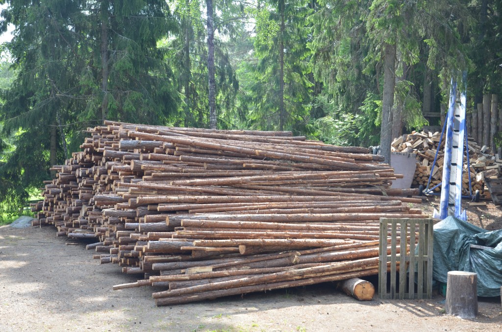 Veddag 4 juli 2015. En ny leverans energived, tallstockar,  från AB Karl Hedins skogar .