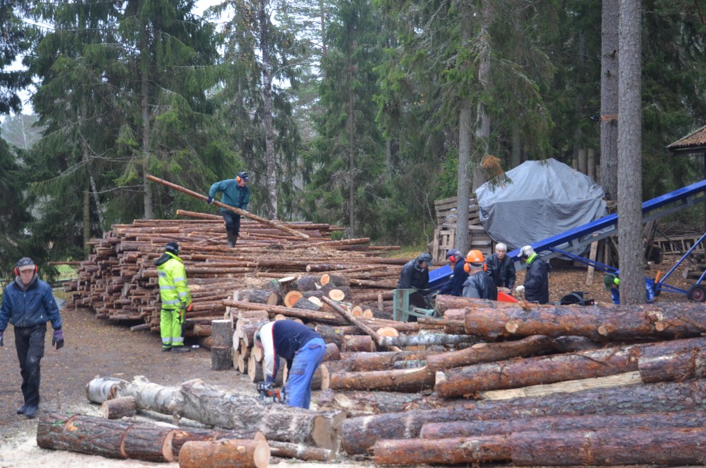 Veddag 2015-11-07. Arbetet på vedbacken påbörjas.