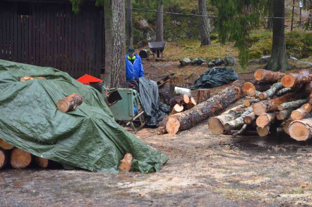 Veddag 2015-11-07. Observera hur blött det är på stigen efter regnen som föll mellan kl. 08.45 och 12.30.