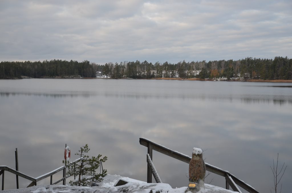 2016-11-05. Höststämning vid Drängsjön